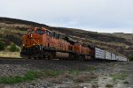 BNSF 7288 & 7362